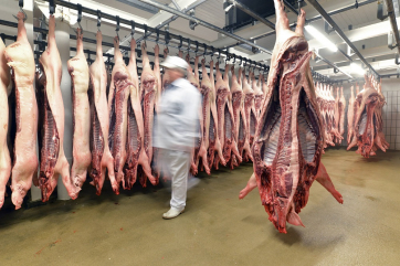 Россия за 10 месяцев заметно увеличила поставки свинины